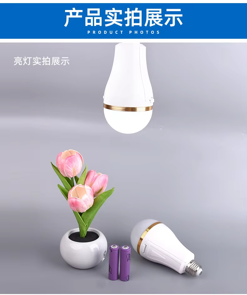 E27 charging emerg bulb portable led lamp 30W usb type c rechargeable light bulb with removable battery li-ion